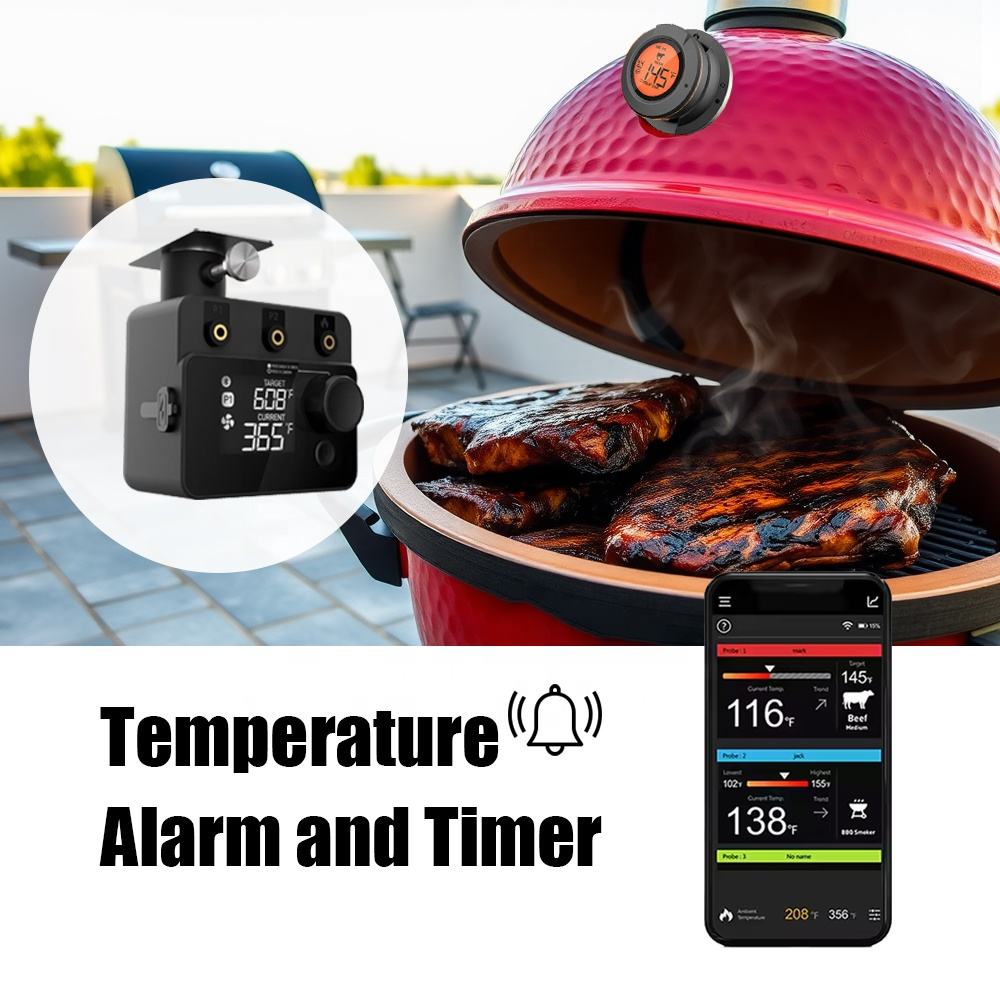 Termómetro inalámbrico Bluetoo - Electric Smoker Bbq reseña y precio