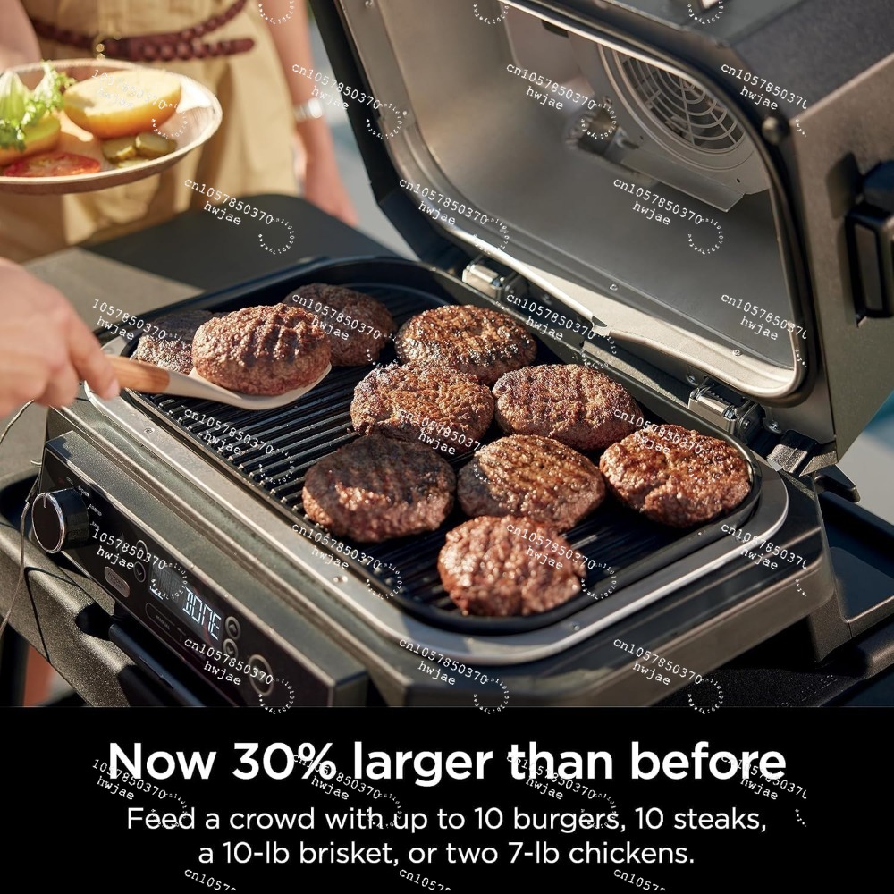 Ninja Wood--ireProXL Parrilla  - Electric Smoker Bbq reseña y precio
