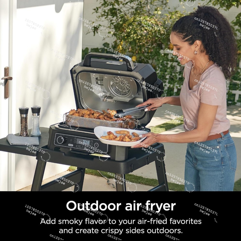 Ninja Wood--ireProXL Parrilla  - Electric Smoker Bbq reseña y precio