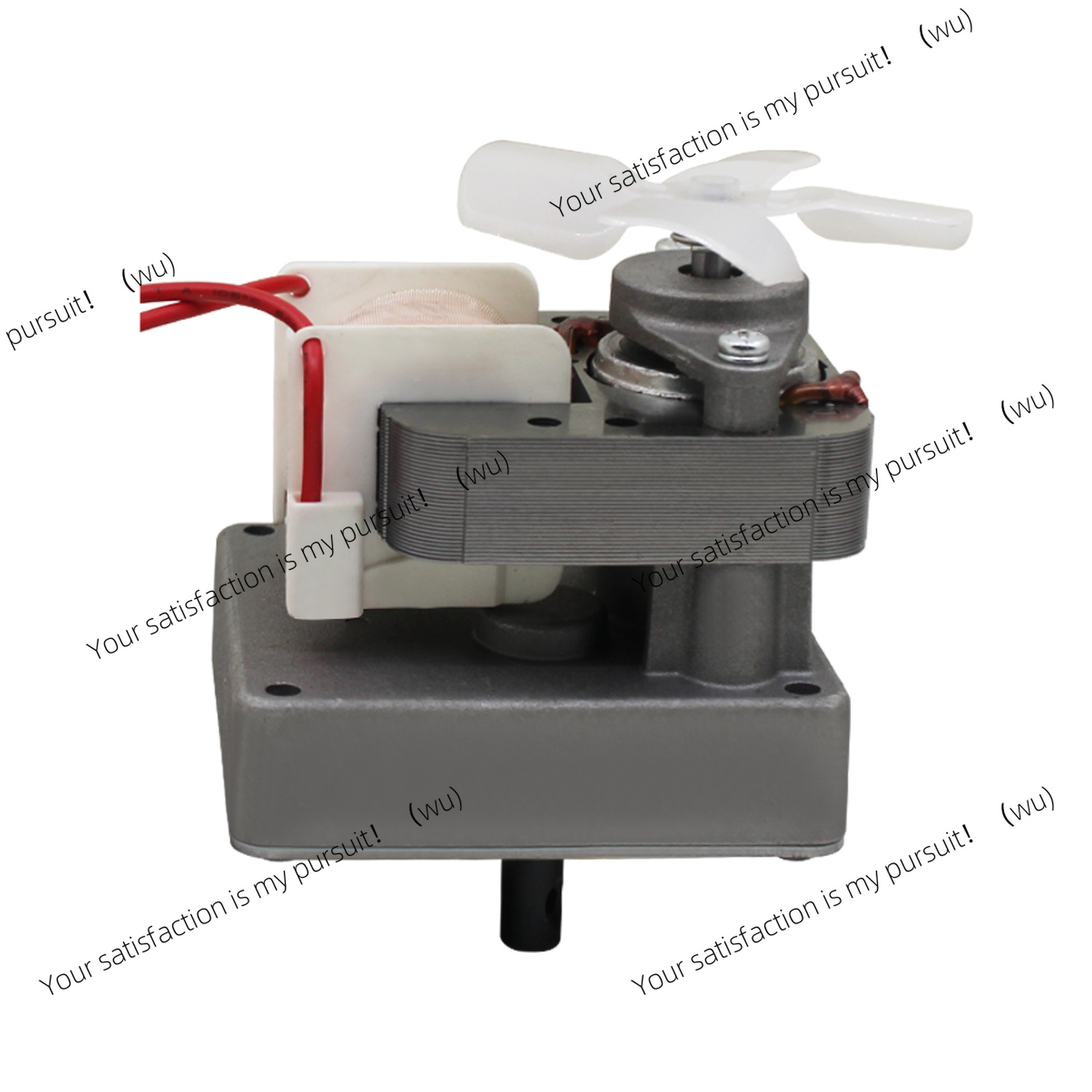 Motor de repuesto de 220V y 2. - Electric Smoker Bbq reseña y precio