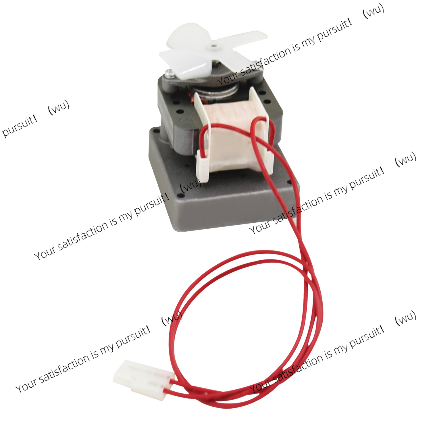 Motor de repuesto de 220V y 2. - Electric Smoker Bbq reseña y precio